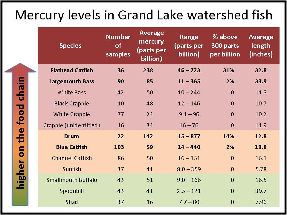 study result table: Mercury in fish